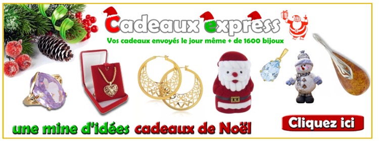 bijoux express- noël